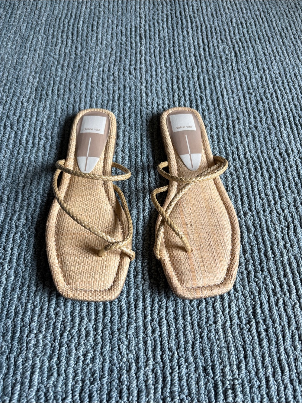 NWT Dolce Vita Leanna Flat Sandal 8 Raffia